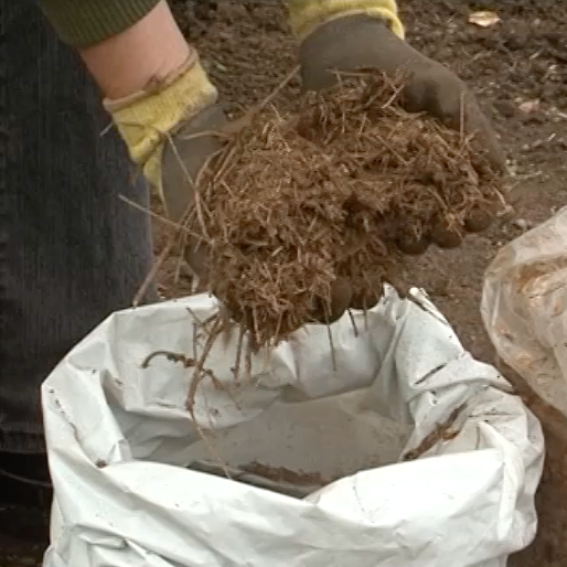 gödning för blåbär