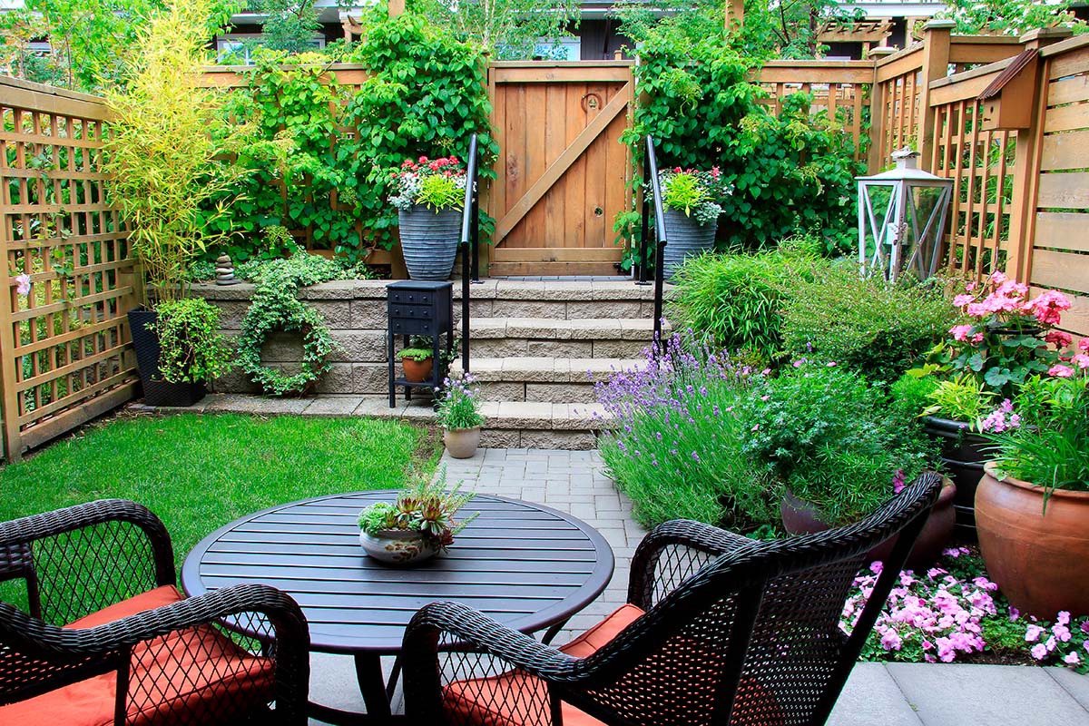 Have med stauder i krukker.