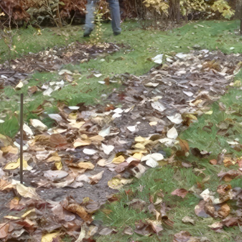 beskjære bringebær