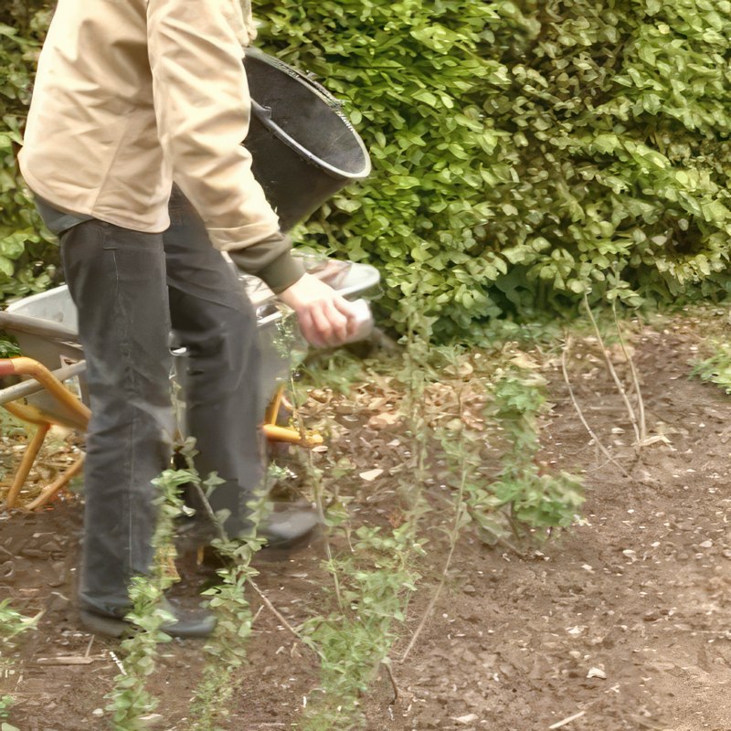 stikkelsbær gjødsel