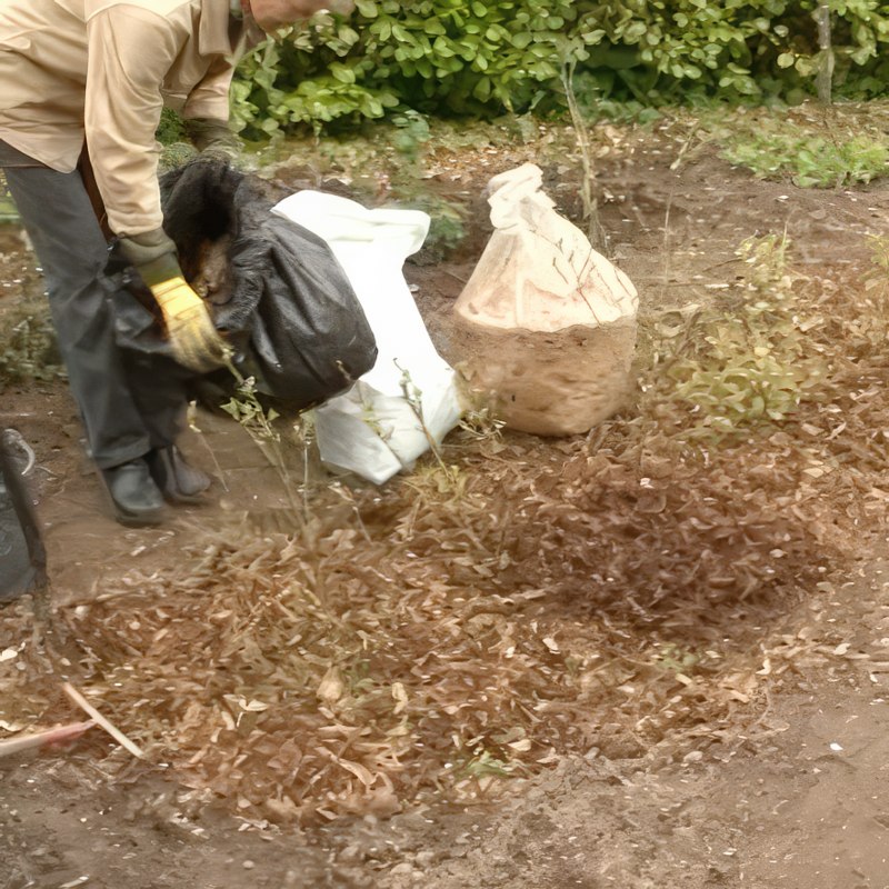 Gjødsel til blåbær