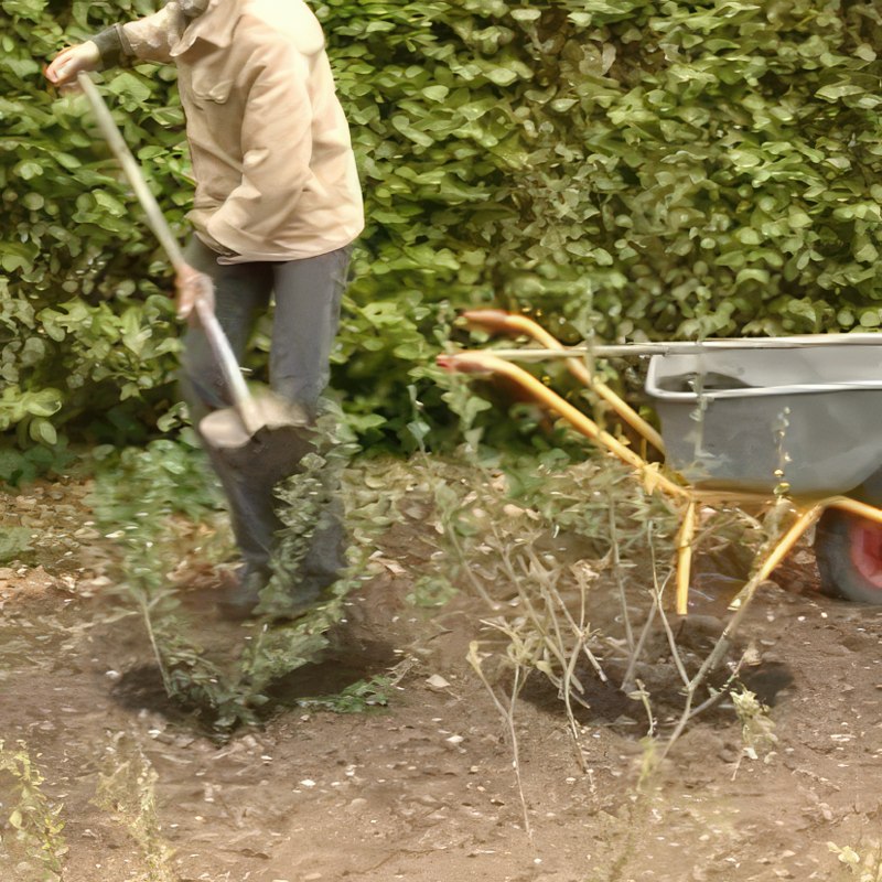 stikkelsbær gjødsel