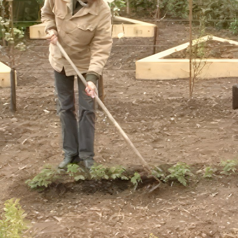 Gjødsel for bringebær