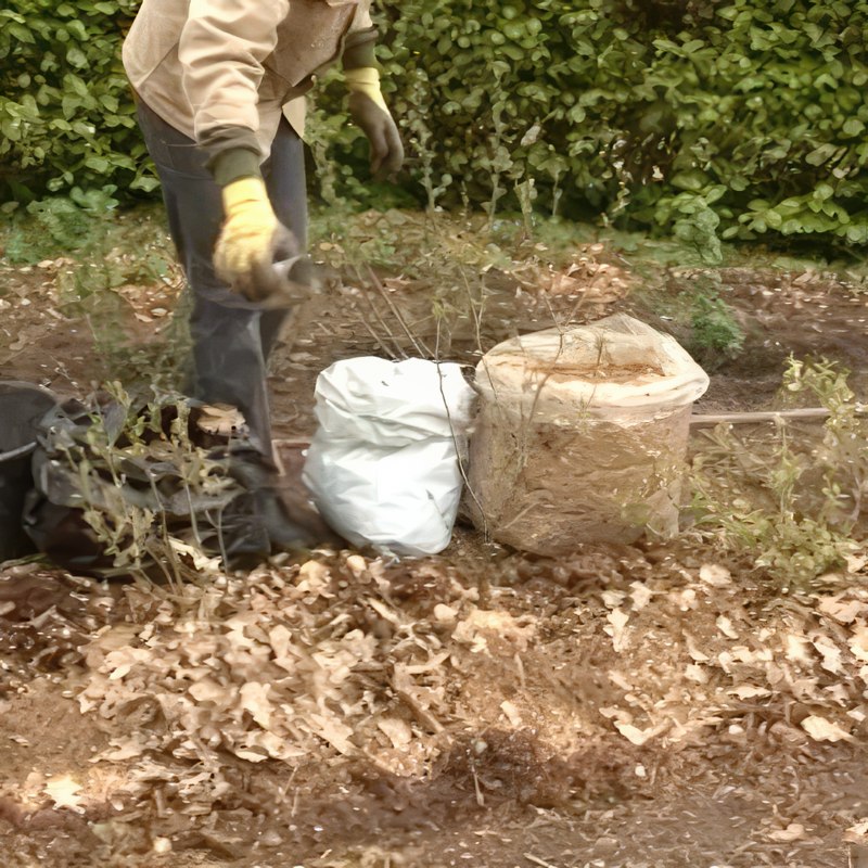 Gjødsel for blåbær