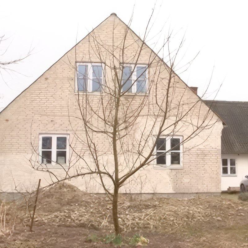 Beskjæring av epletrær