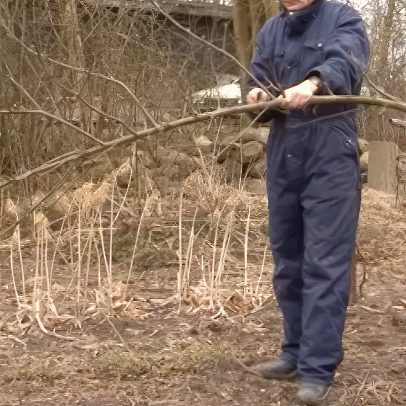 Beskjæring av gamle epletrær