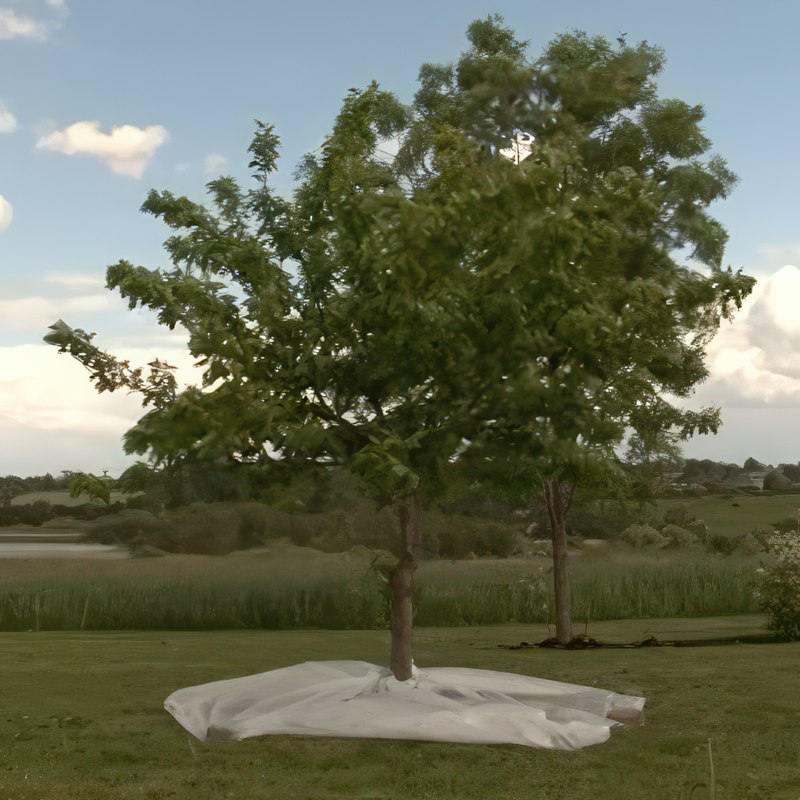 blommebladhveps bekæmpelse