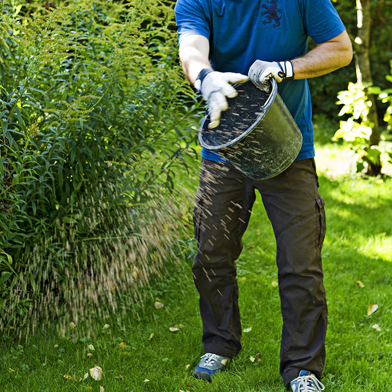 Mos skal gødes længe