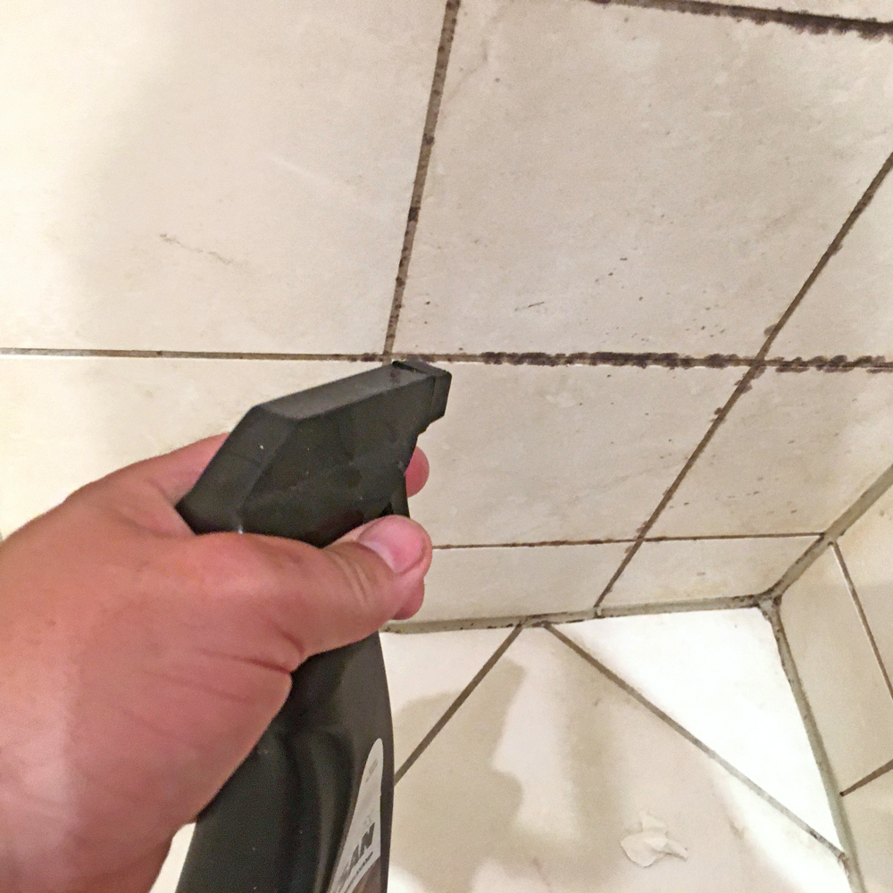 Hvordan ser muggsopp ut: Påfør soppmiddelet