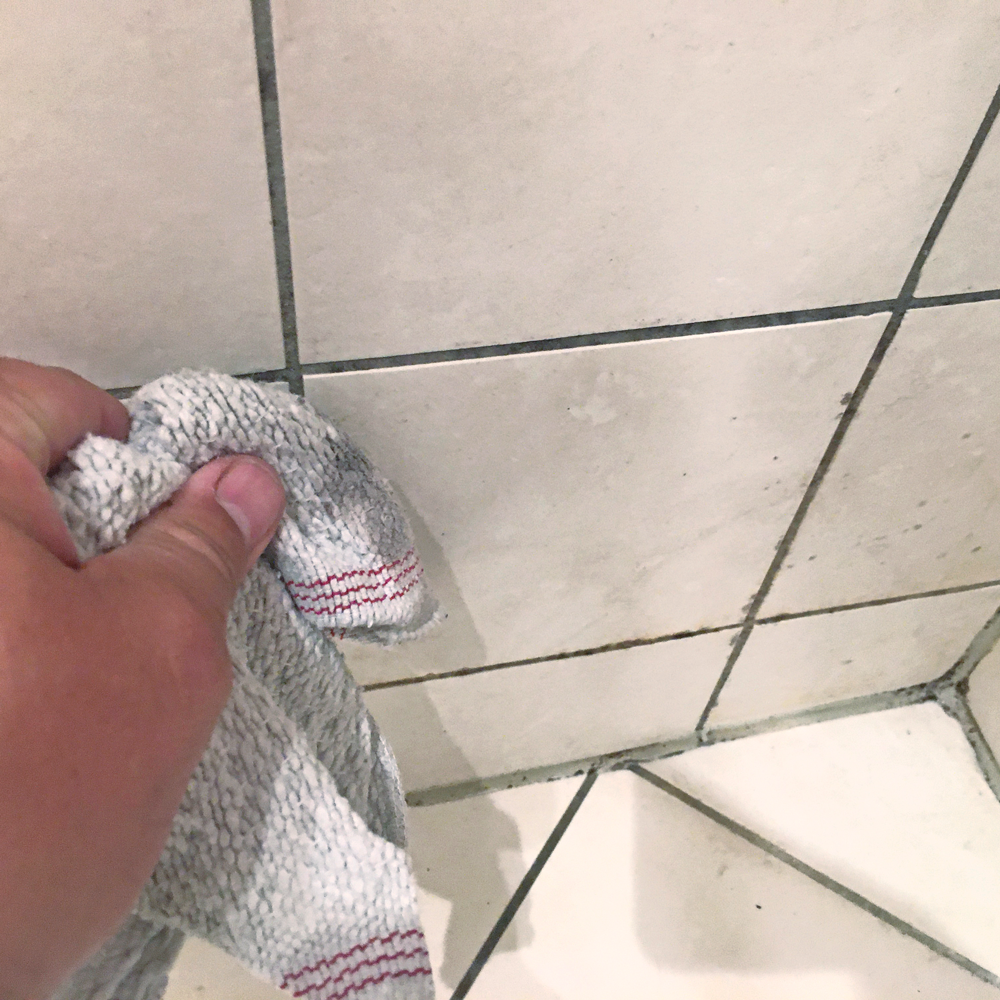 Hvordan ser muggsopp ut: Rengjør fliser og fuger med en klut