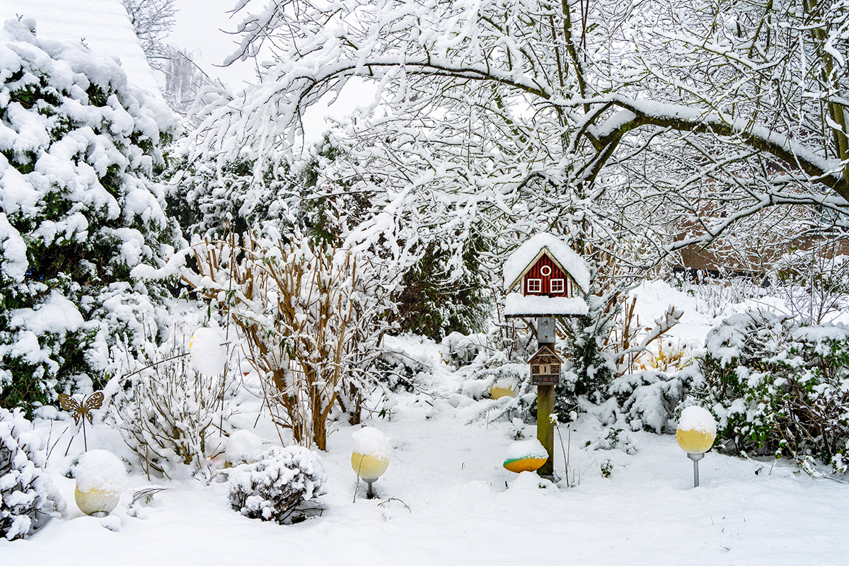 Piha talvikuukausina