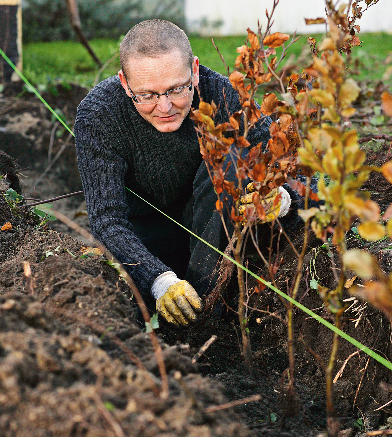 Puiden istuttaminen: Paljasjuuriset kasvit
