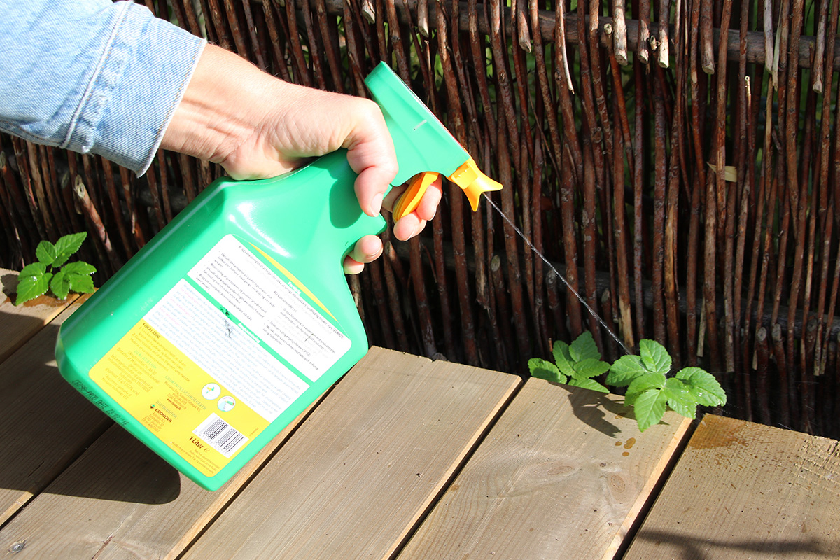 Fjerne skvallerkål med eddik