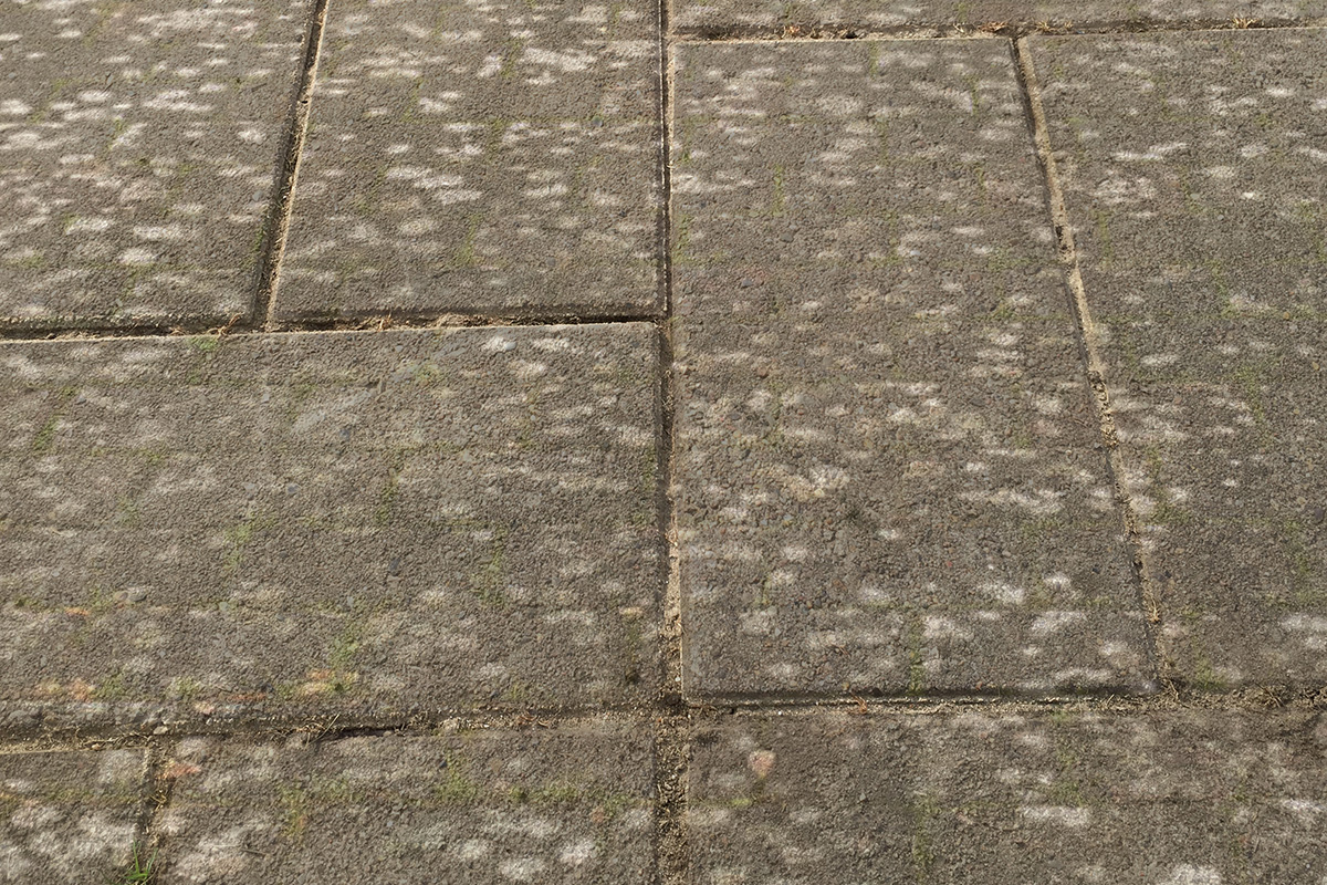 Vaske belegningsstein: Steinlav