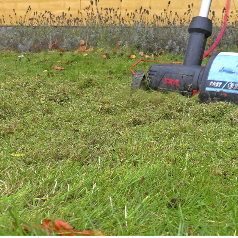 Mose i gressplenen: Både mose og gress blir revet opp