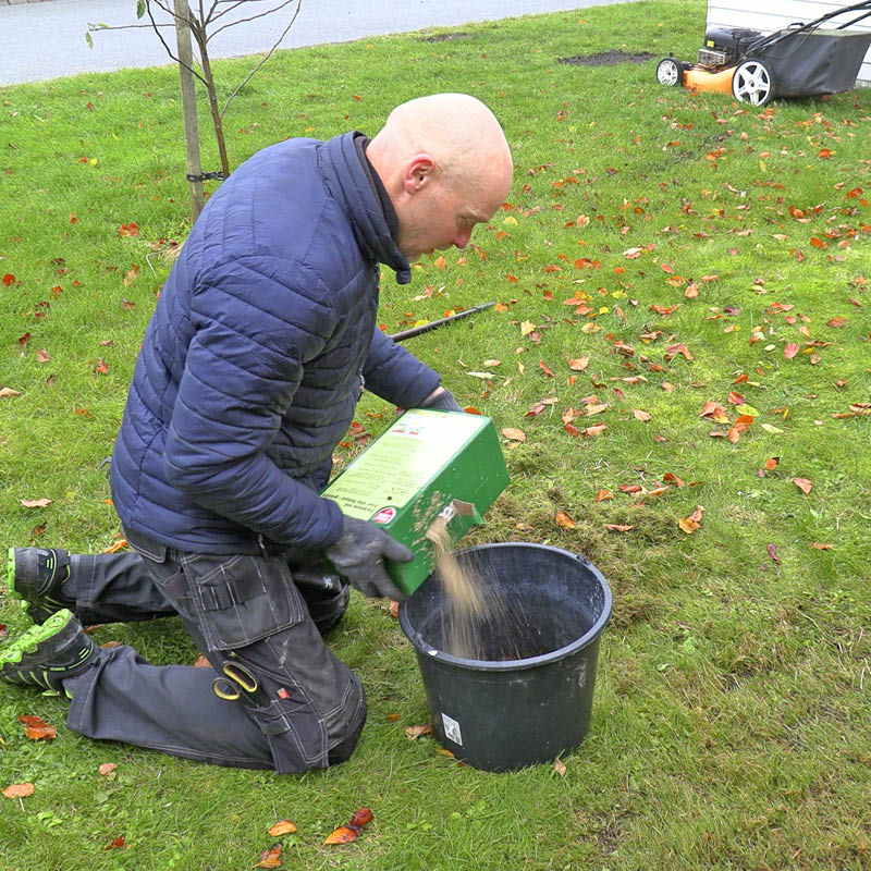 Mose i gressplenen: Nå kan du etterså gress