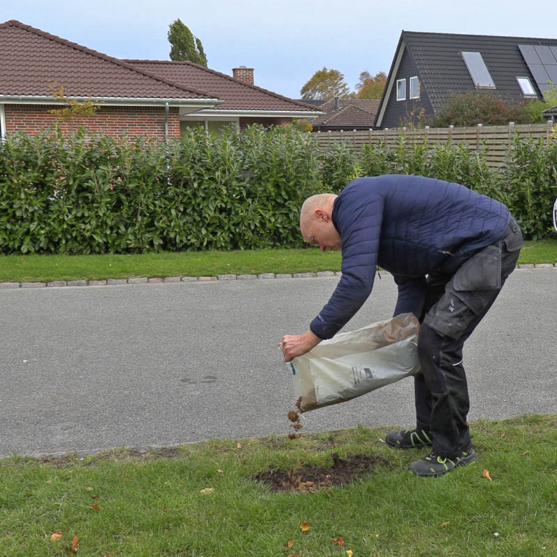 Bare flekker i plenen: Legg litt sand på området