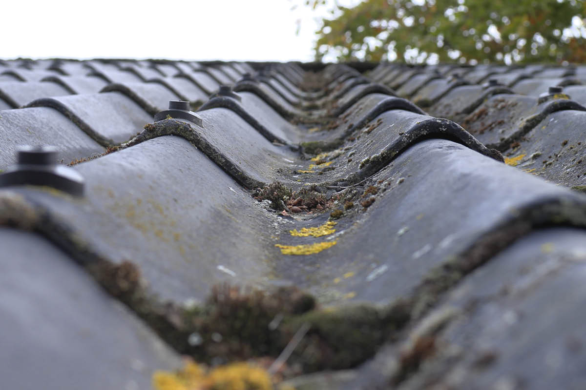 Ta bort mossa på tak
