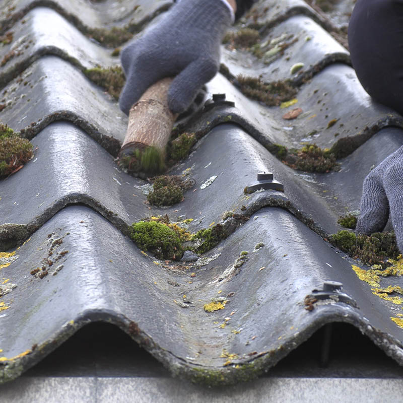 Mose på taket: Skrap av mosen