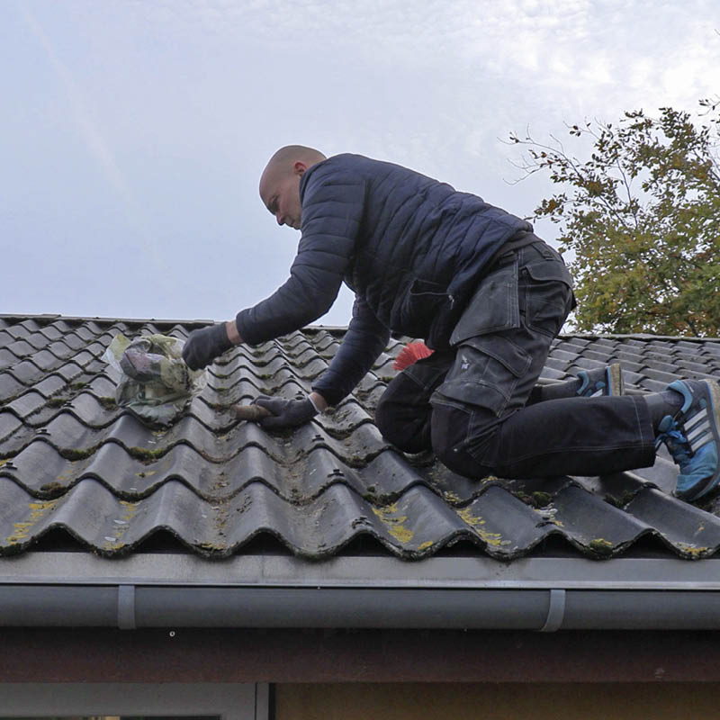 Mose på taket: Saml sammen mosen