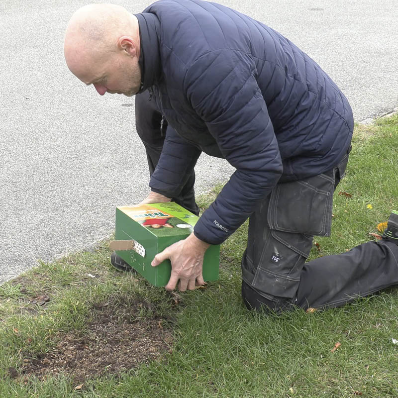 Nu kan du så græs på den bare plet
