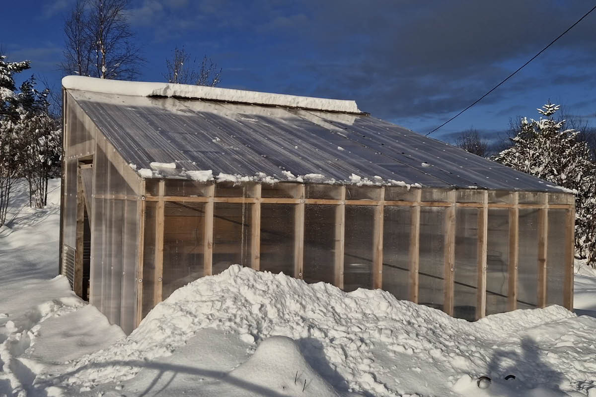 Orangeri med tregulv