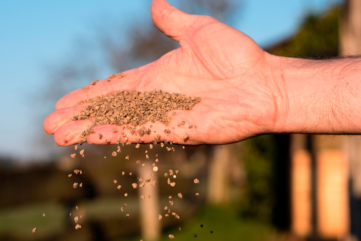 Organisk gjødsel for gressplen