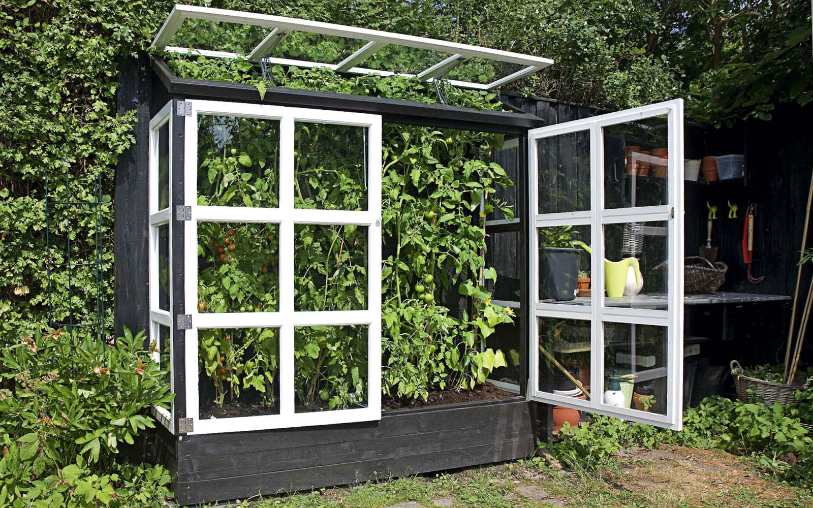 Byg selv vægdrivhus