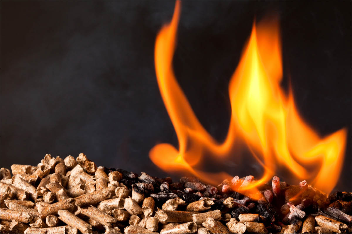 Hvilke træpiller er bedst?