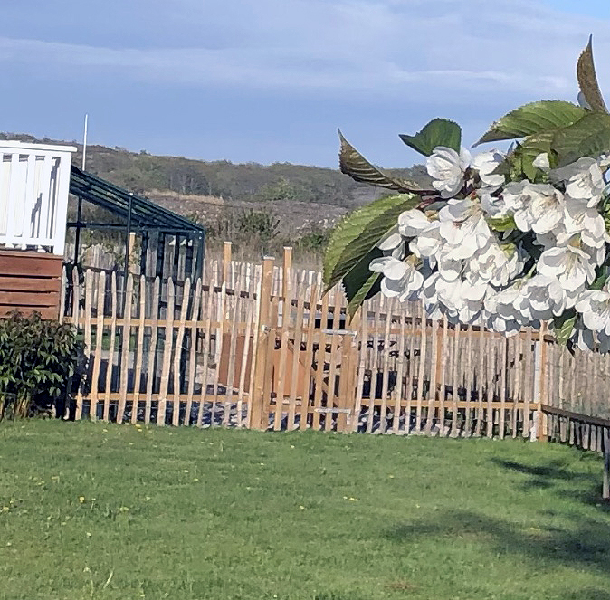 Fra græsplæne til hyggeligt uderum