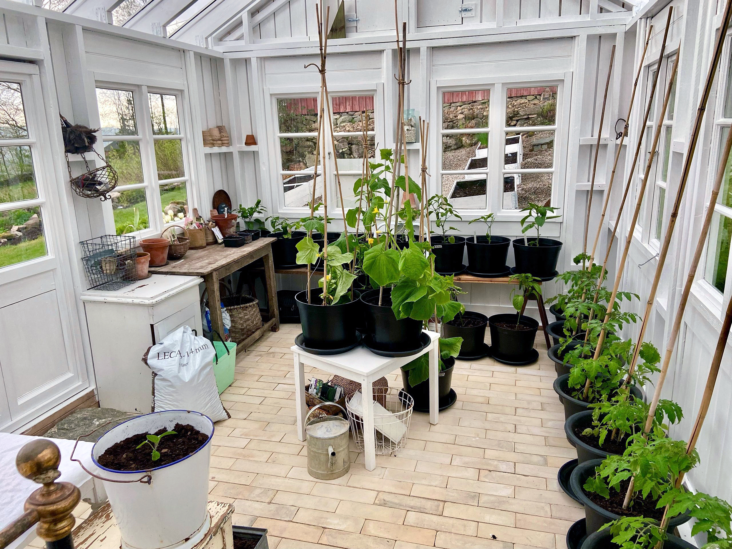 Fra lysthus til orangeri