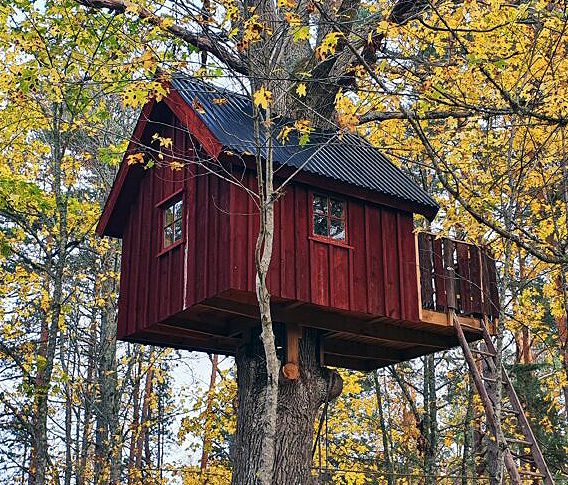 Træhytte i trætoppen