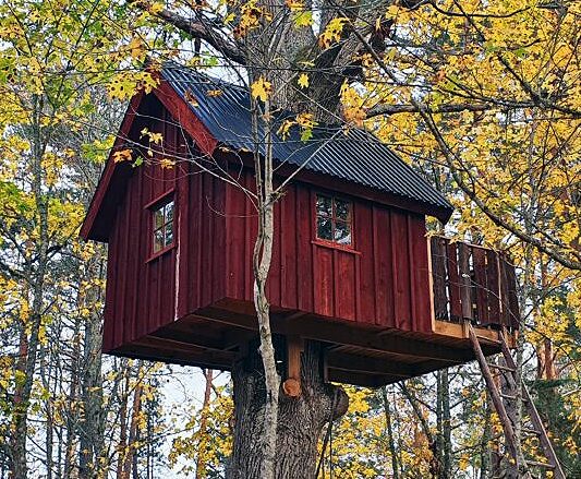 Træhytte i trætoppen