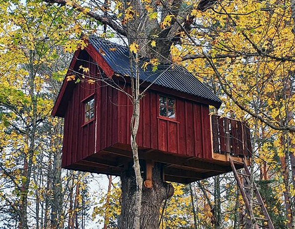 Træhytte i trætoppen