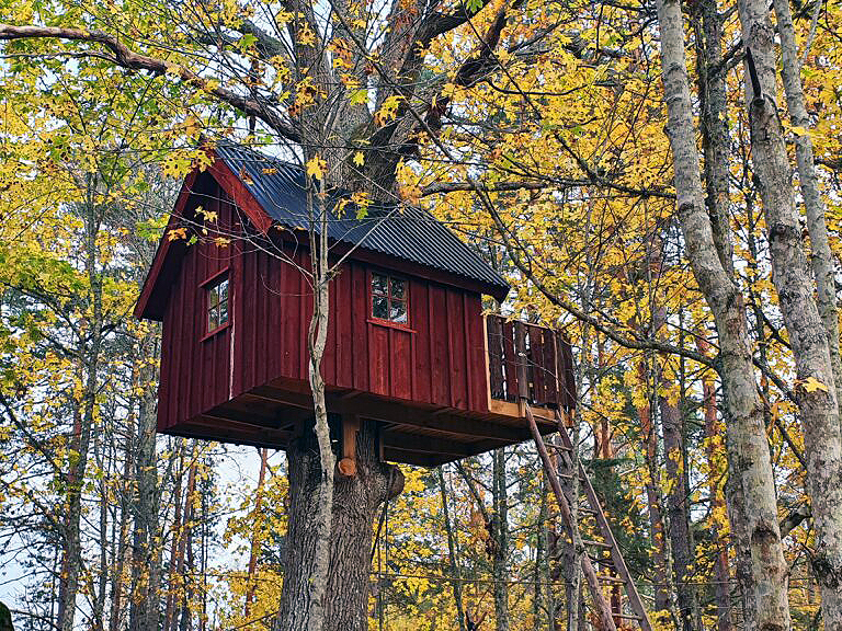 Træhytte i trætoppen