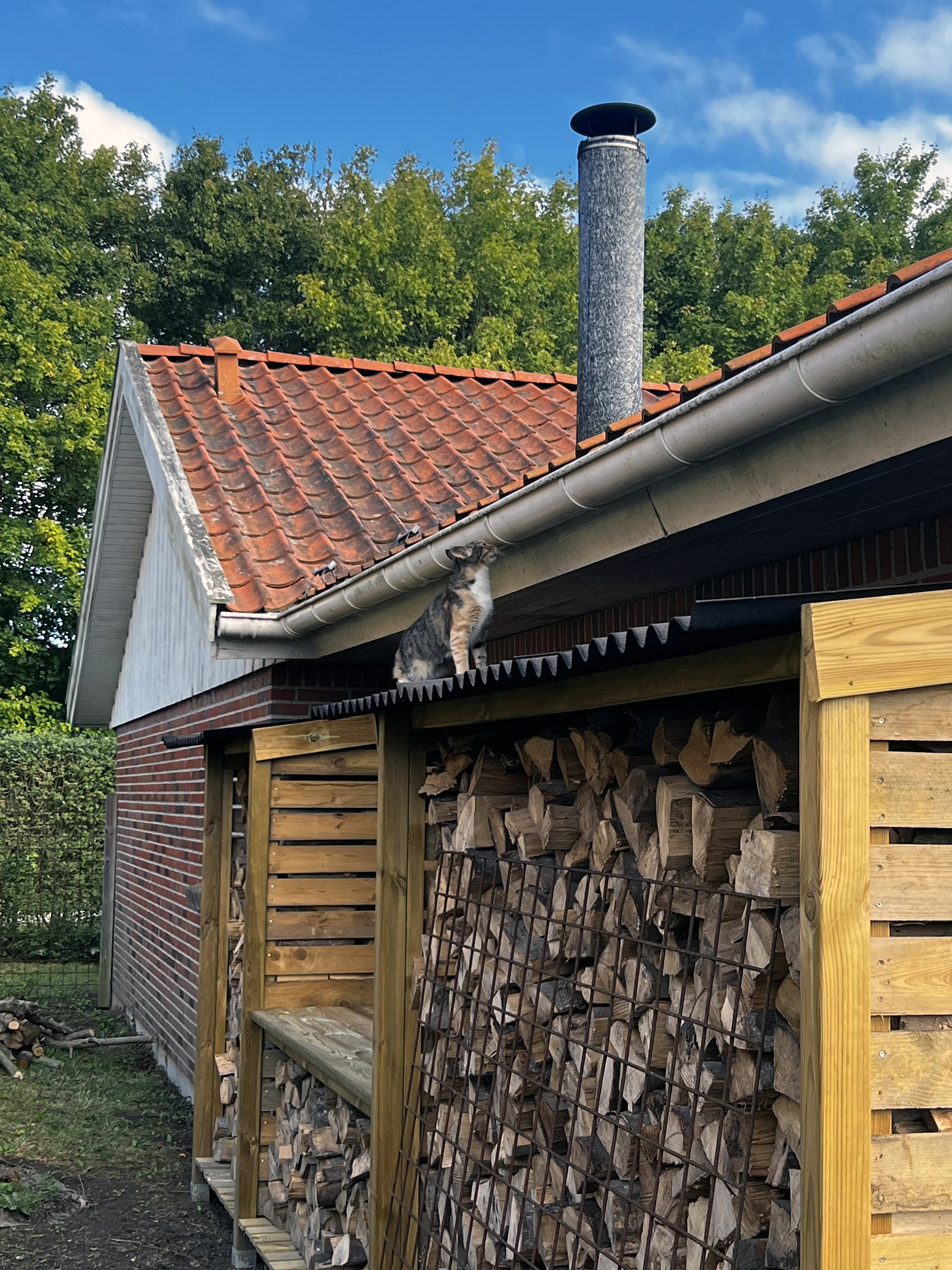 Praktisk brændeskur op langs muren