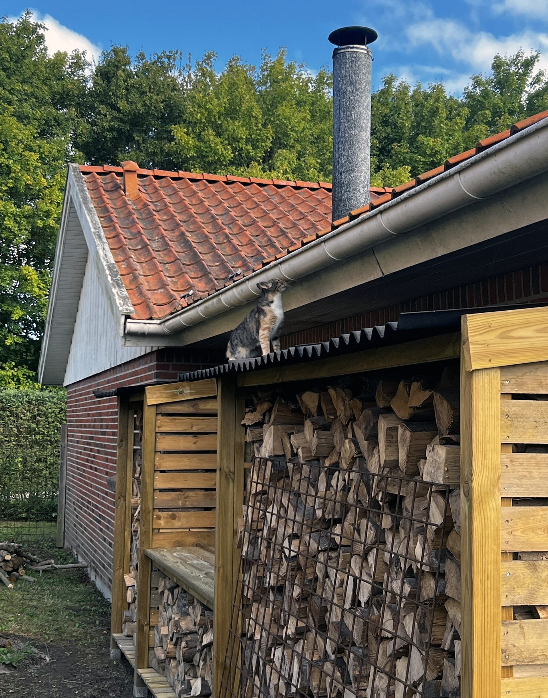 Praktisk brændeskur op langs muren