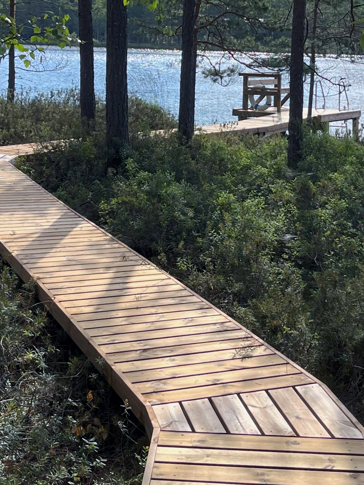 Gangbro over sumpet område