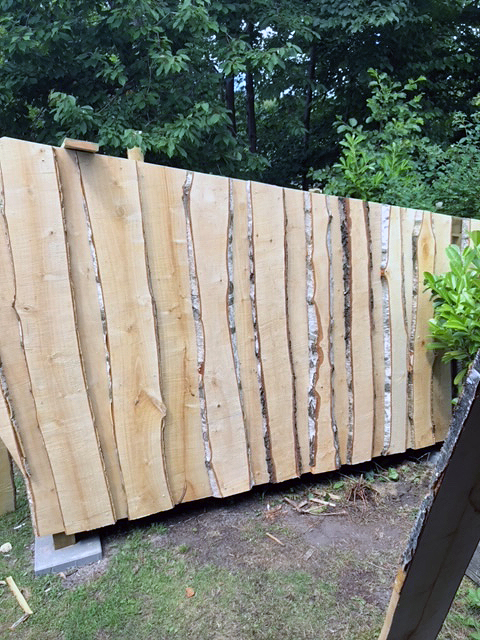 Shelter af egne birketræer