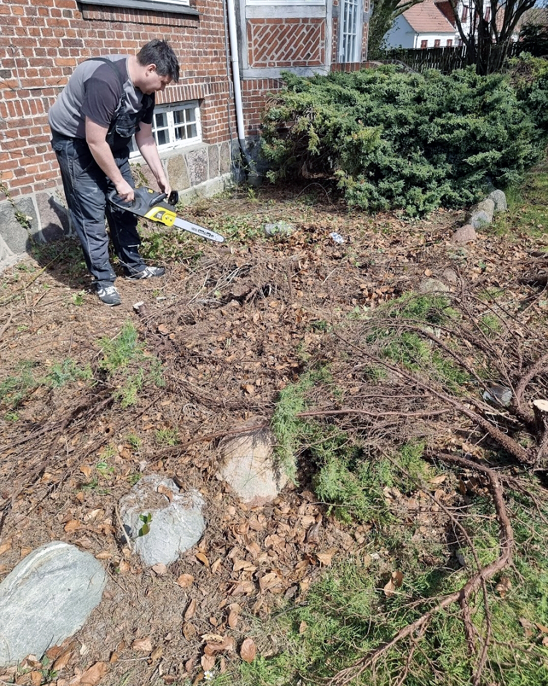 Facen renset for efeu