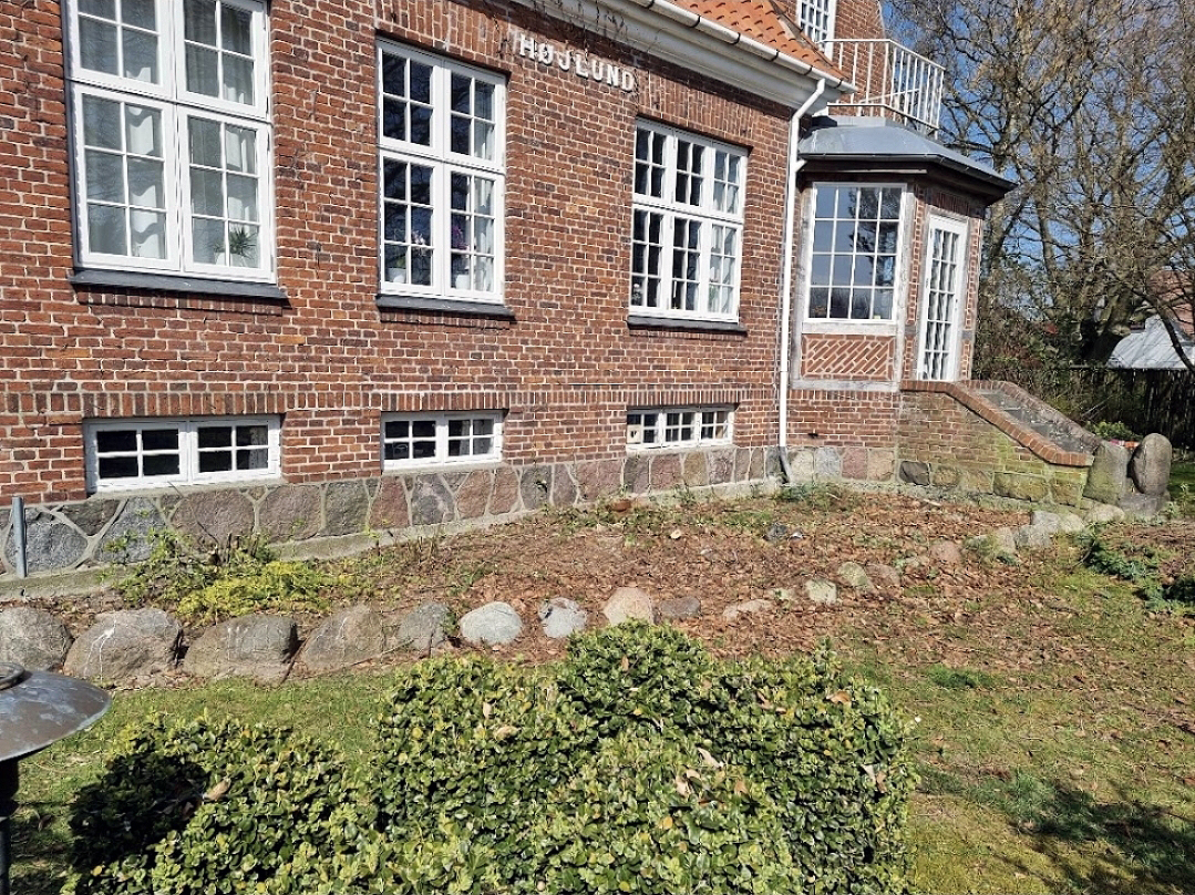 Facen renset for efeu