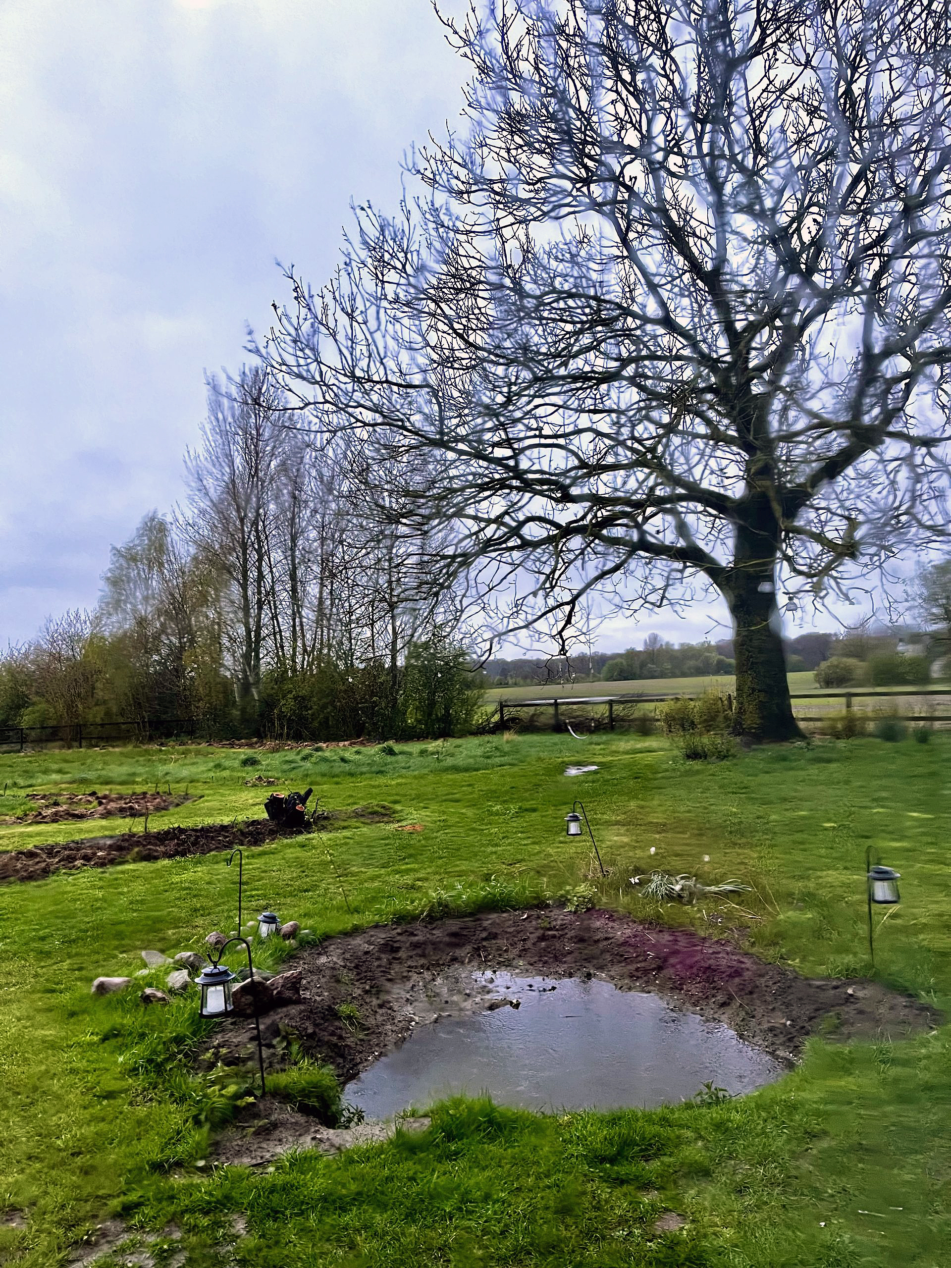 Hyggelig havedam i baghaven