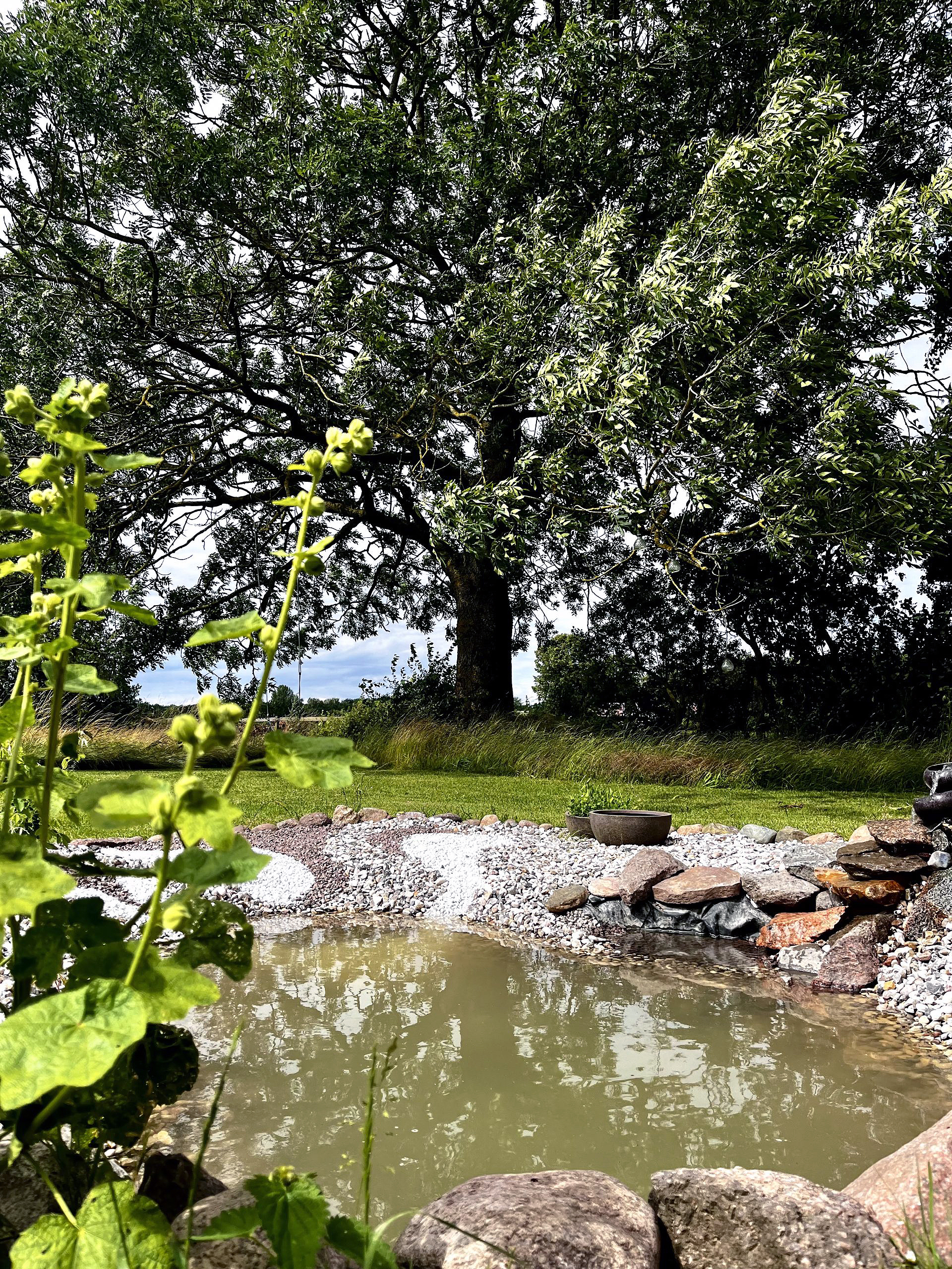 Hyggelig havedam i baghaven