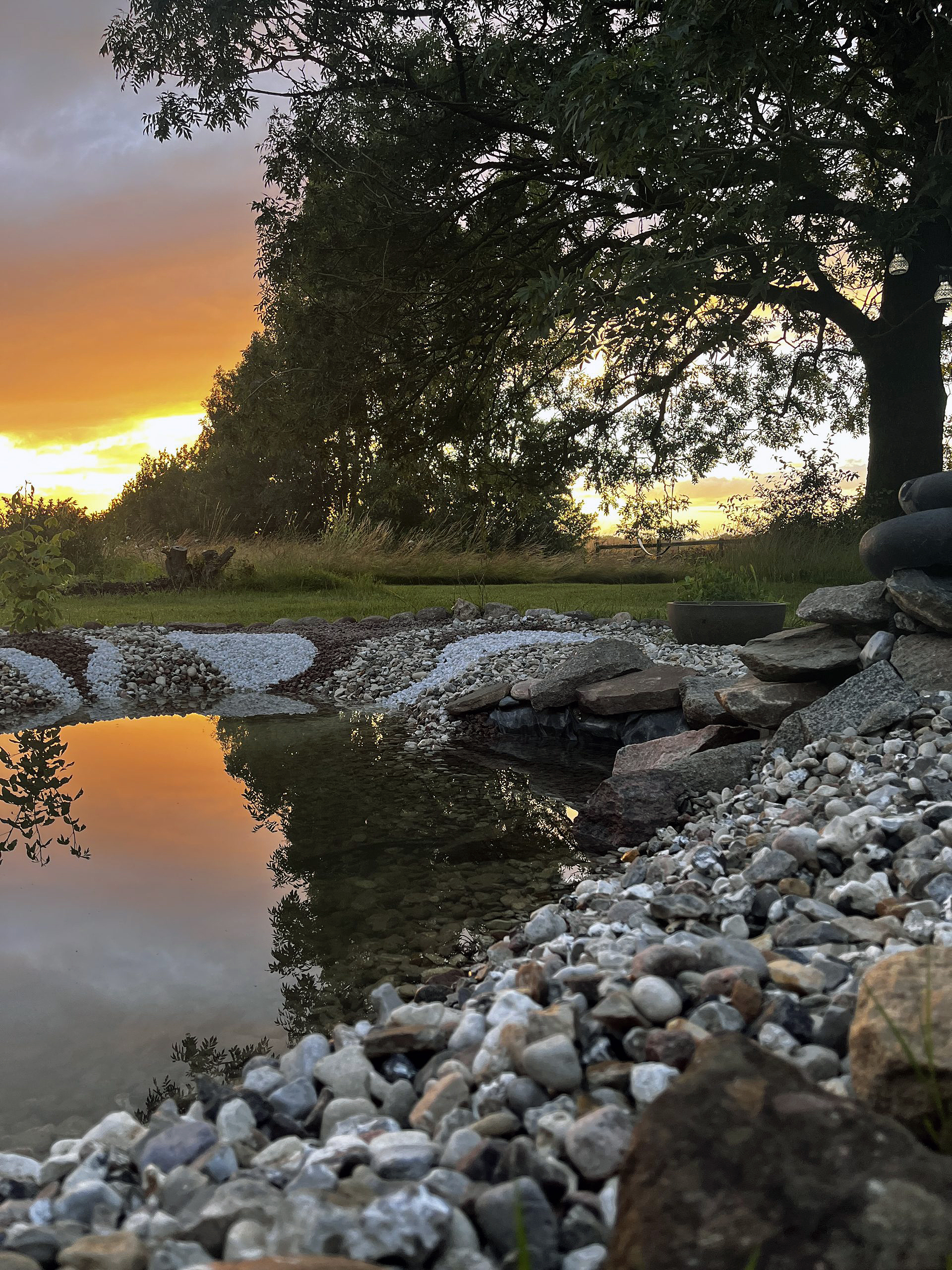 Hyggelig havedam i baghaven