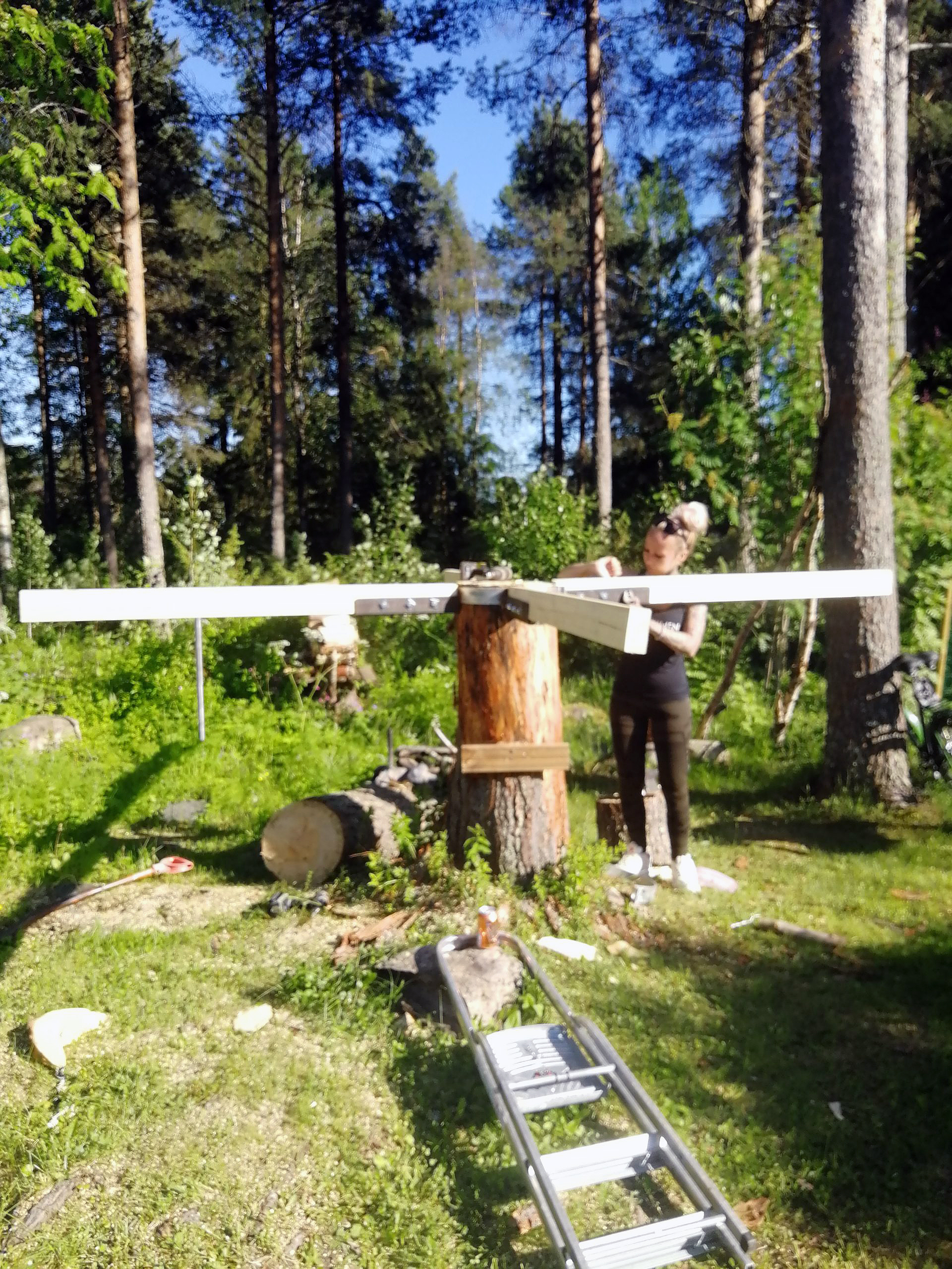 Vi fældede et træ og byggede et hus