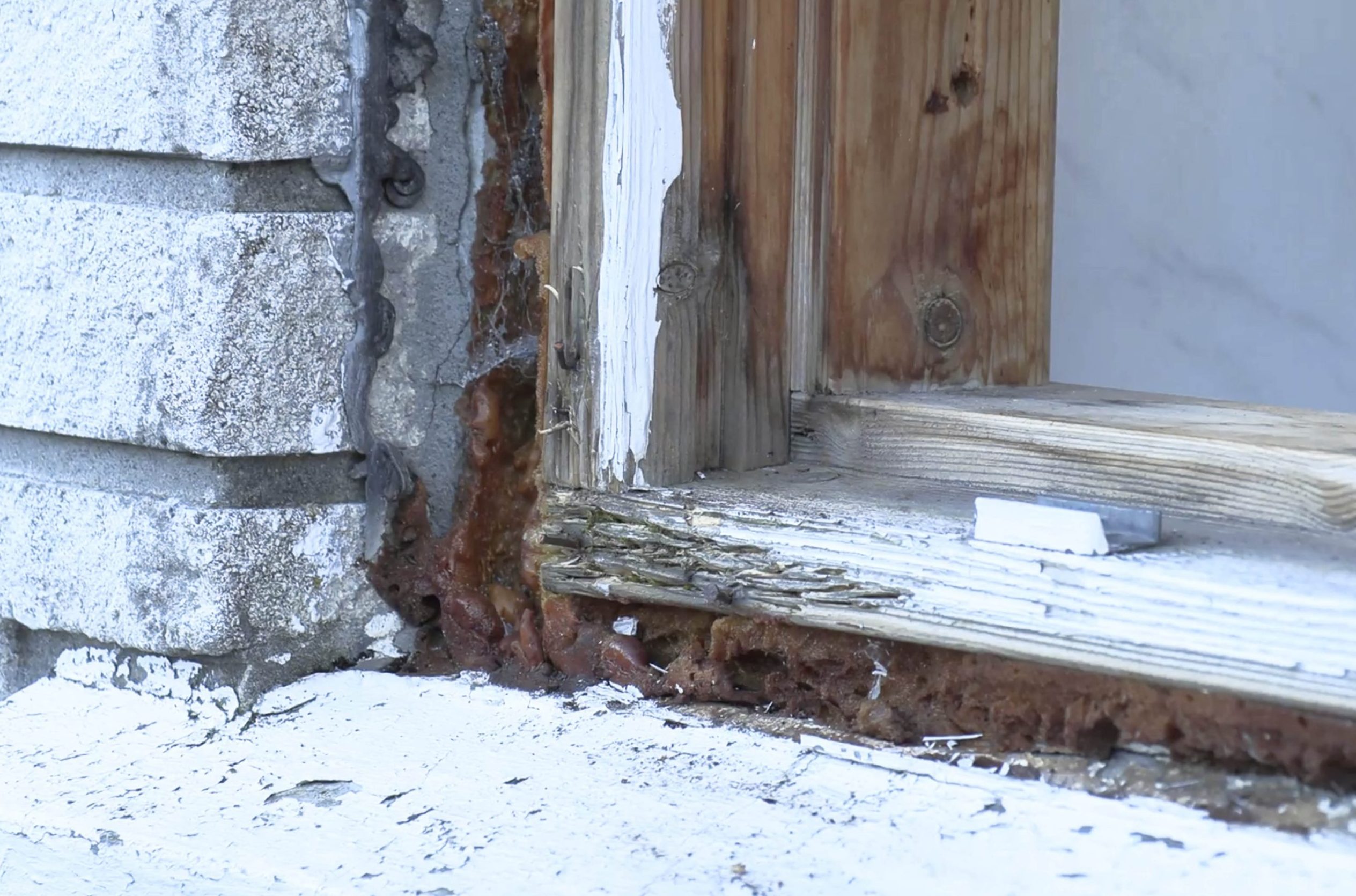 Liten råteskade i vindusrammen