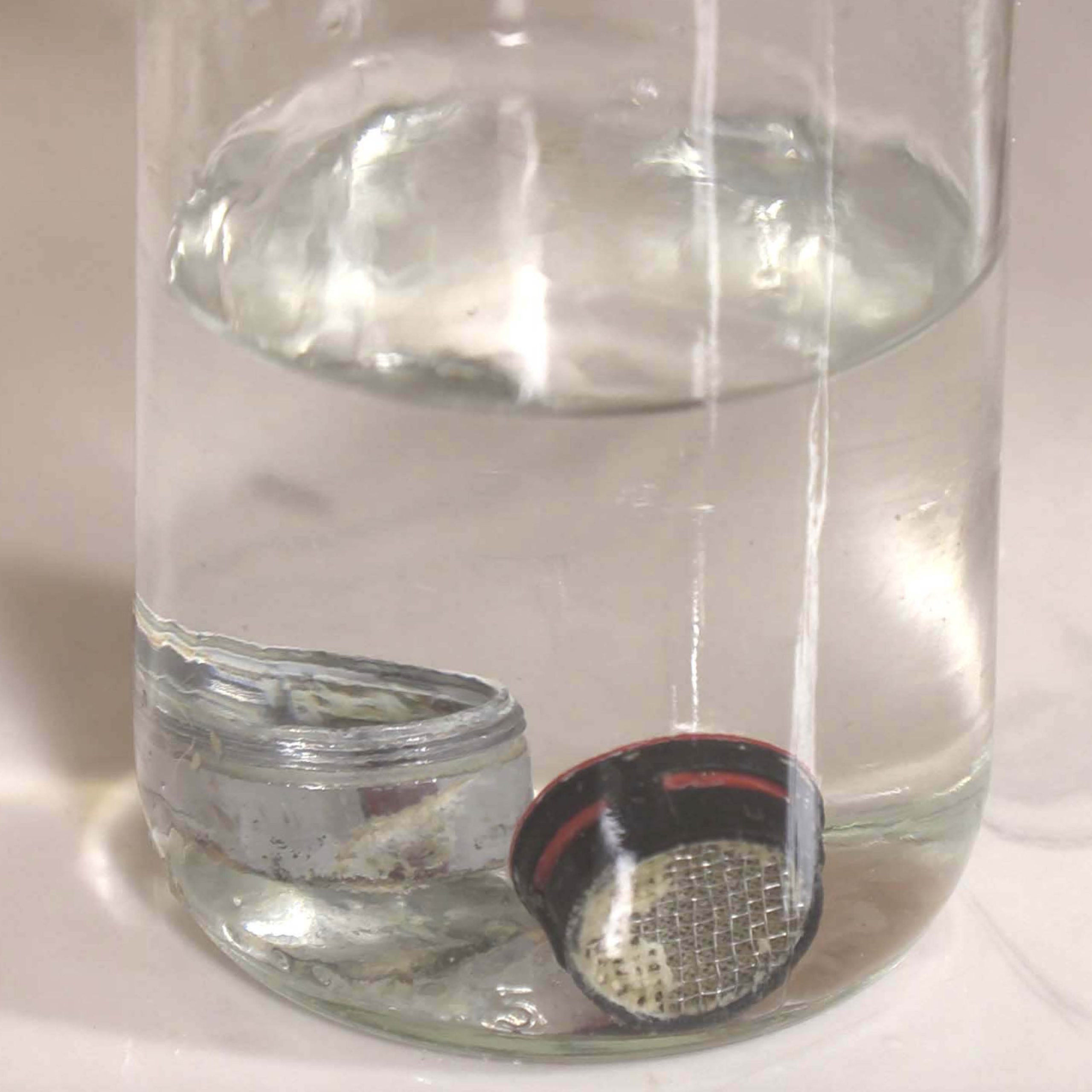 Fjerne kalk kran: Legg alle delene ned i glasset