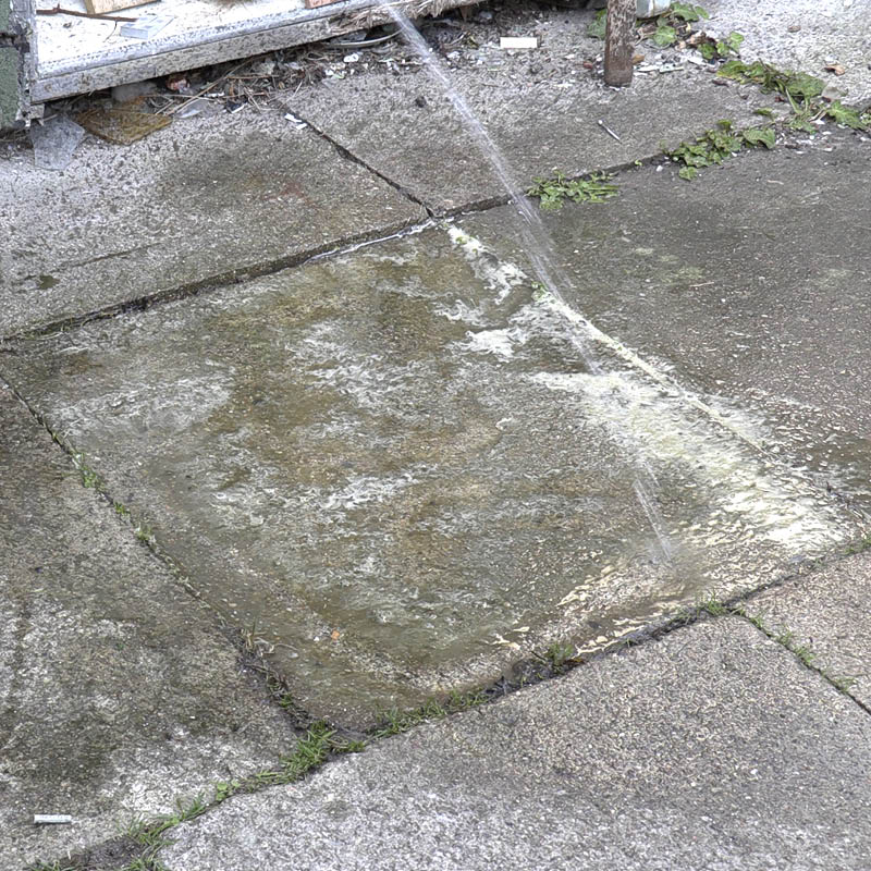 Flisepest på sten og fliser