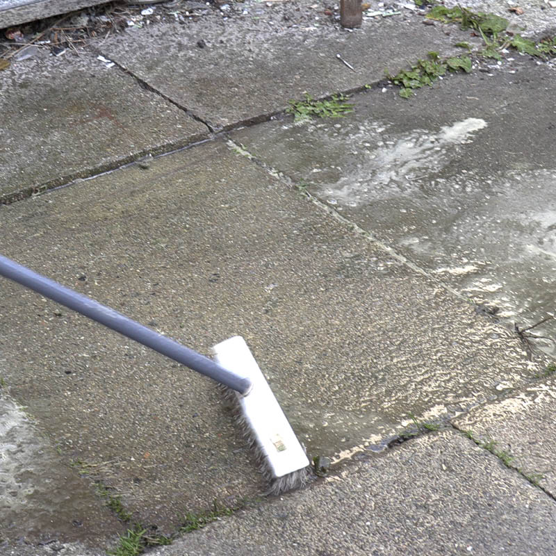 Flisepest på sten og fliser