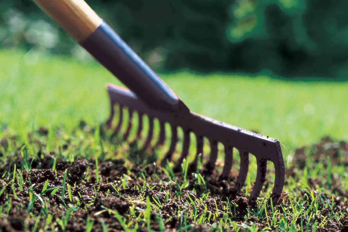 Kylvä lisää siemeniä syksyllä